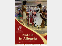 natale-in-allegria-per-mansione 