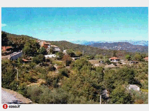 terreno-coltivabile-3250mq-prezzo 